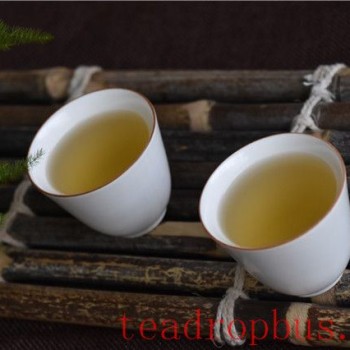 The Nature of Tea and Body Selection—Exploring the Harmony Between Tea and Constitution