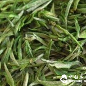 Remove Odors in Life with Tea