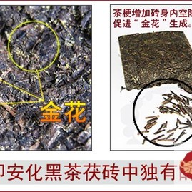 Nutrition Hidden in Coarse Old Leaves