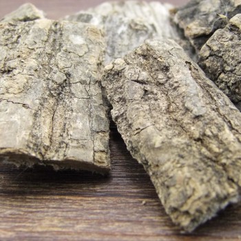 The Benefits and Preparation Method of Eucommia Bark Tea