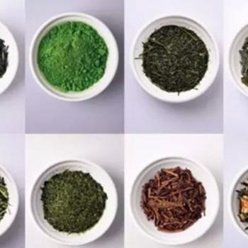 Eighteen Levels of Tea Drinking