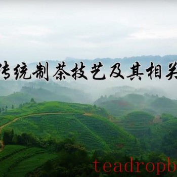Intangible Cultural Heritage of Humanity: Traditional Chinese Tea Processing Skills – Green Tea Chapter ① – West Lake Longjing