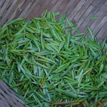 Green Tea Making Skills (Yuhua Tea Making Skills)