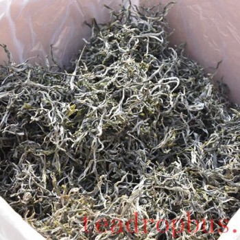 Puer Tea: Is Loose Tea or Cake Better for Storage?