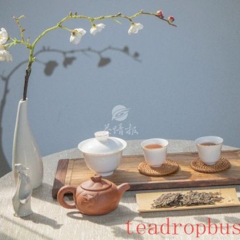 Chenpi + White Tea: The Perfect Health-Promoting Duo, Doubling Happiness