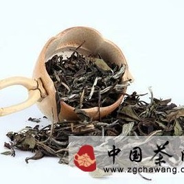 Introduction to Tea Polyphenols