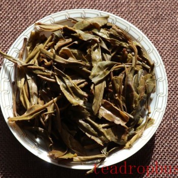 How to Identify Pu-er Tea from the Leaf Base