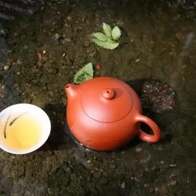 Have you had tea today?