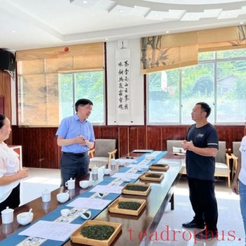 Expert Team from the Chinese Academy of Agricultural Sciences Tea Research Institute Conducts Field Research and Guides Tea Industry Development in Zhenba County