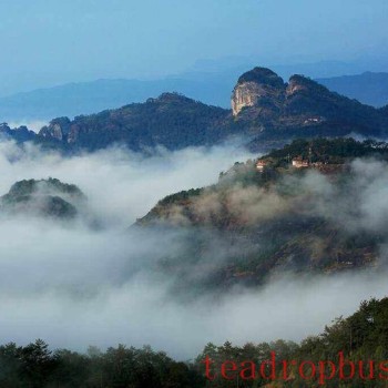 Wuyi Mountains and Wuyi Rock Tea