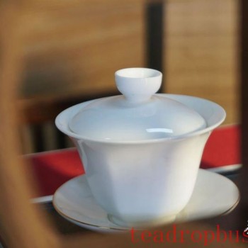 How Many Times Should Tea Be Infused to Avoid Waste?