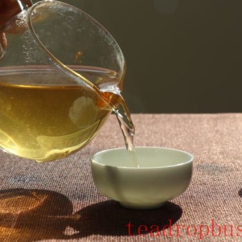 What Are the Benefits of Drinking Tea? Five Advantages That Will Make You Fall in Love with Tea!