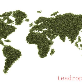 Why is tea called tea?