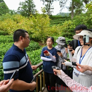 Nanping Wuyishan: Pursuing a Path of Ecological Priority and Green Development