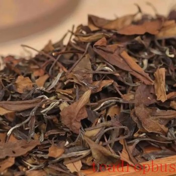 The Enigma of Aged White Tea: Why Isn-t Ten Years More Aromatic Than Three?