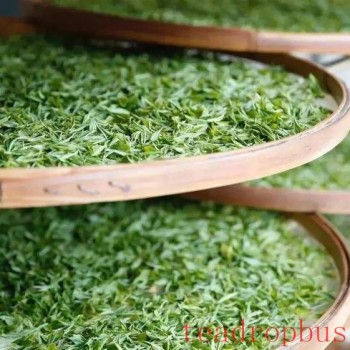 The Way of Drinking Tea in Summer: What Suits You Best Is the Best~