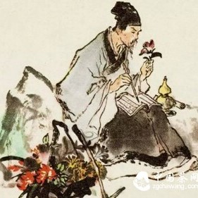 Dark Tea Health Preservation and Damp-Heat Constitution