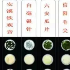 Beyond Superficiality: A Comprehensive Understanding of Famous Teas