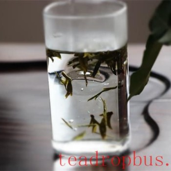 Three Common Tea Placement Methods for Brewing Green Tea