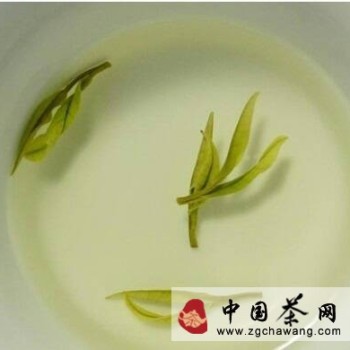 Tea Knowledge Culture (Questions 56-65)