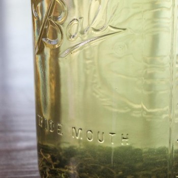 DIY: How to Make Cold Brew Tea