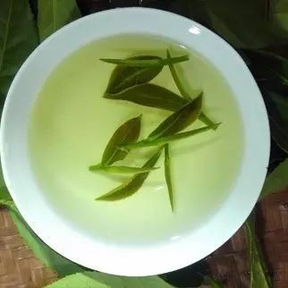 The Phenol-Ammonia Ratio in Tieguanyin Tea: How Much Do You Know?