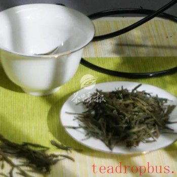 Summer Tea Storage Tips: Don-t Overlook These Three Points!