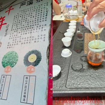 Chayou YanTai: A Hidden Gem for a Thousand Years