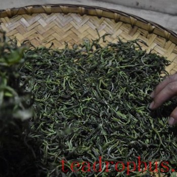 The Impact of Kneading on Pu-er Tea