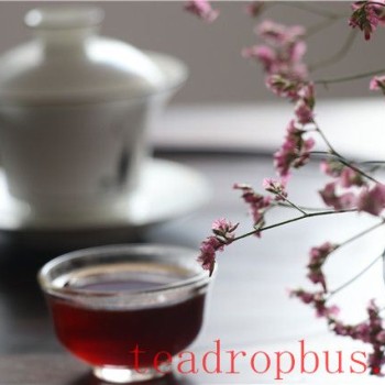 What Tea Should You Drink in Autumn for Optimal Health?