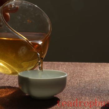 What Are the Benefits of Drinking Raw Pu-er Tea? Functions and Effects of Raw Pu-er Tea