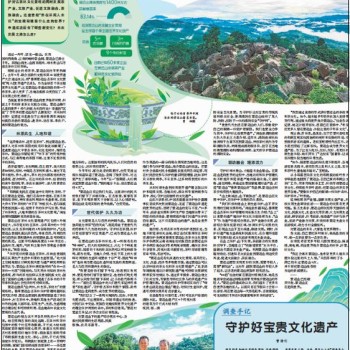 Jingmai Mountain: What Draws the World to This Ancient Tea Land? Another Exploration of Jingmai Mountain-s Appeal in Yunnan Province by the Economic Daily