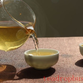 The First Infusion of Tea: To Drink or Not to Drink, and the True Purpose of Washing Tea