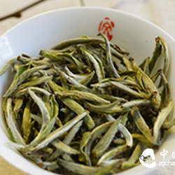 Complete Guide to the Benefits of Various Teas! Save It!