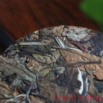 The Art of White Tea: A Comprehensive Guide from Brewing Cake Tea to Appreciation