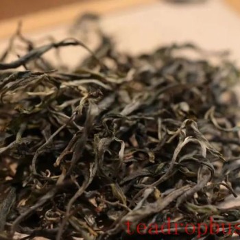 How Many Infusions Can Tea Stand? Which One Is the Best?