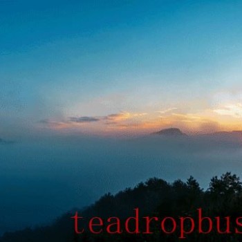 A Taste of Wuyi-s Scenery in a Cup of Clear Tea