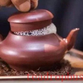 Tea Master-s Guide to Brewing Tea: Enjoy Quality Tea at Home