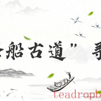 "Tracing the Ancient Tea Ship Route: The Ancient Path Leading Out of Cangwu Spreads the Aroma of Liubao Tea Far and Wide (Part 2)"