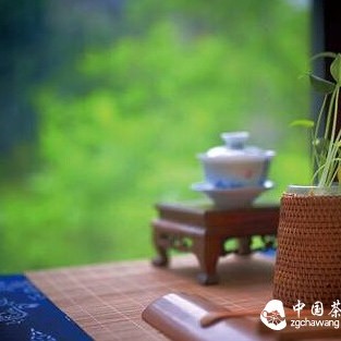 On Hot Days, Tieguanyin Tea is Best
