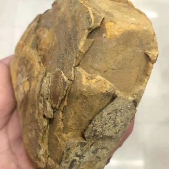 The Rare Gem in Purple Clay Mud—Stone Yellow + Stone Red
