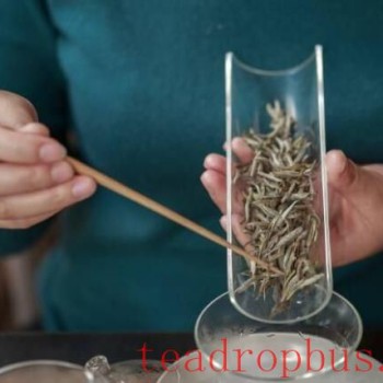Brewing White Tea: How to Infuse for a Better Taste?
