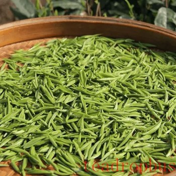 Montding Ganlu-s Physical Characteristics and Identification Methods