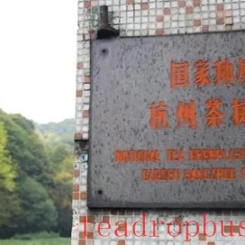 The Power of Seeds: Unveiling the “Treasure Genes” in the National Tea Germplasm Repository