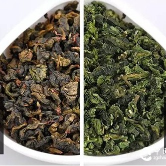 What is the difference between Dong Ding Oolong and Tieguanyin?
