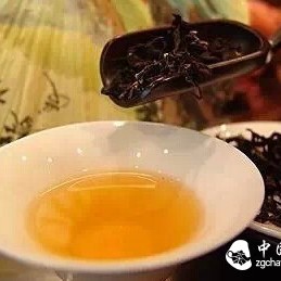 Brew a Pot of Dancong Tea, Savor the Secret of Chaoshan People's Beauty