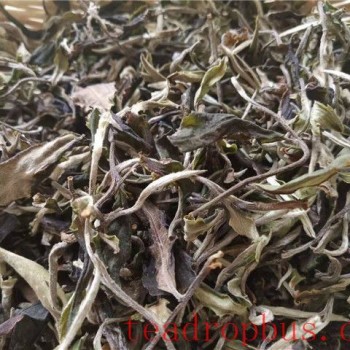 How to Enjoy a Cup of Tea After the Onset of Summer?