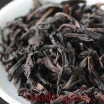 Can Dahongpao Be Stored in the Refrigerator?