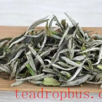 What is the "Transformation" of White Tea?