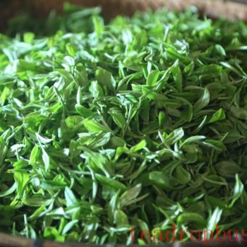 Guipa Tea, a Characteristic Agricultural Product of Guangxi